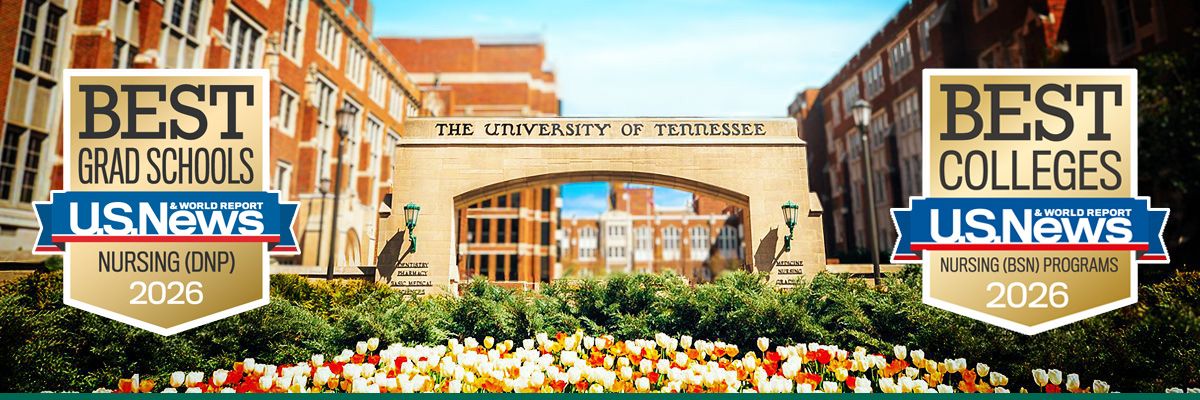 futurestudentsbadges univeristy arch with bsn and dnp ranking badges