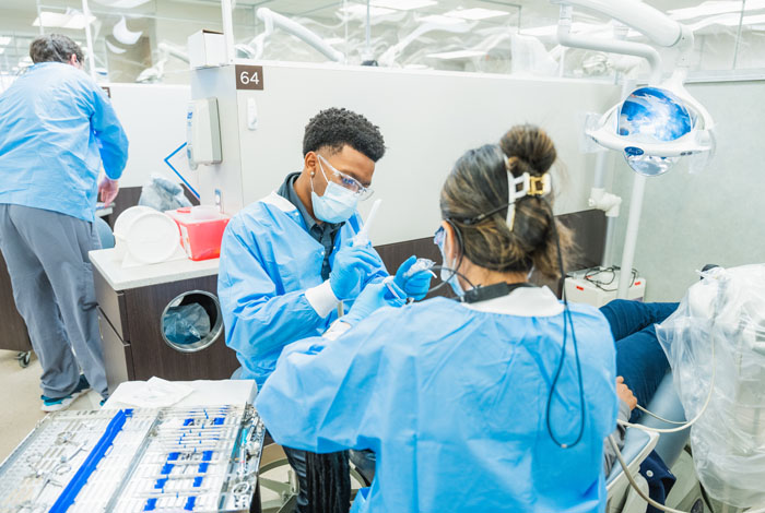 Dental clinic doctors working on a patient