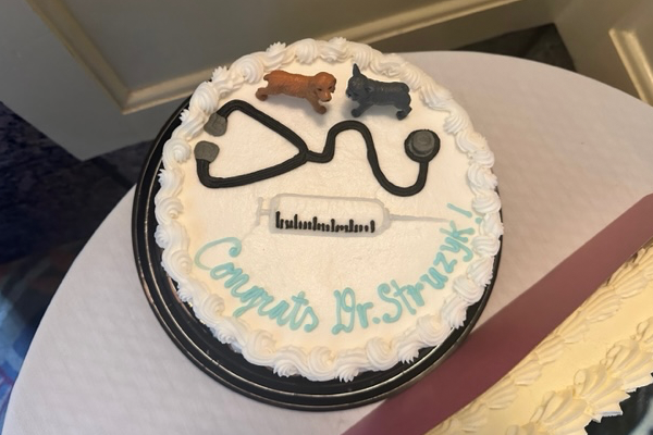 Cake with stethescope for resident