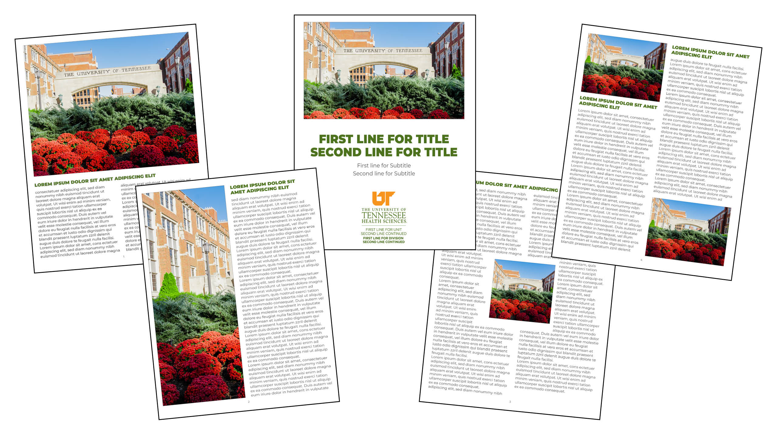 Examples of the page designs in the brochure Word document