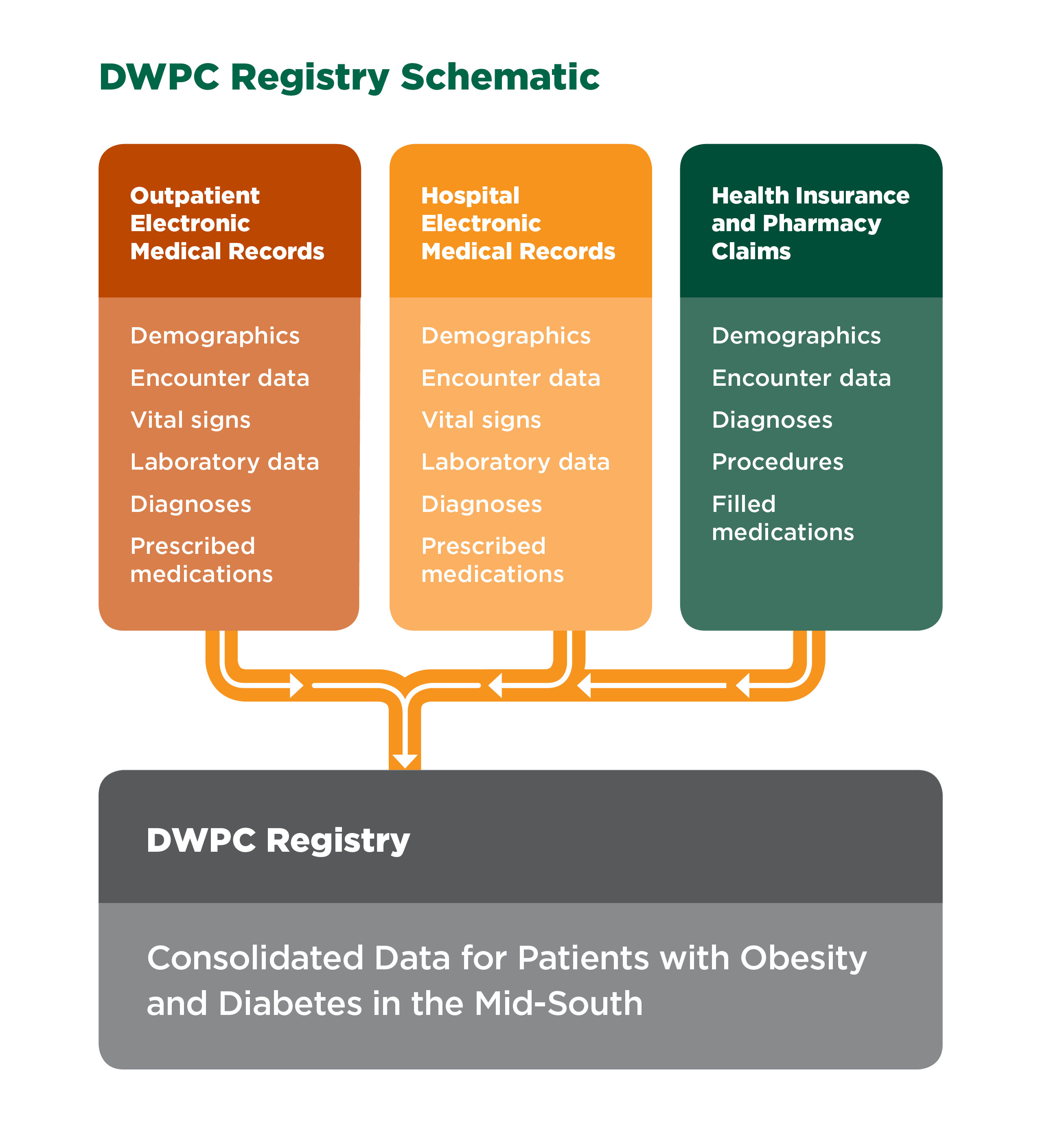 Registry schmatic showing types of data from providers, insurers, and hospital systems