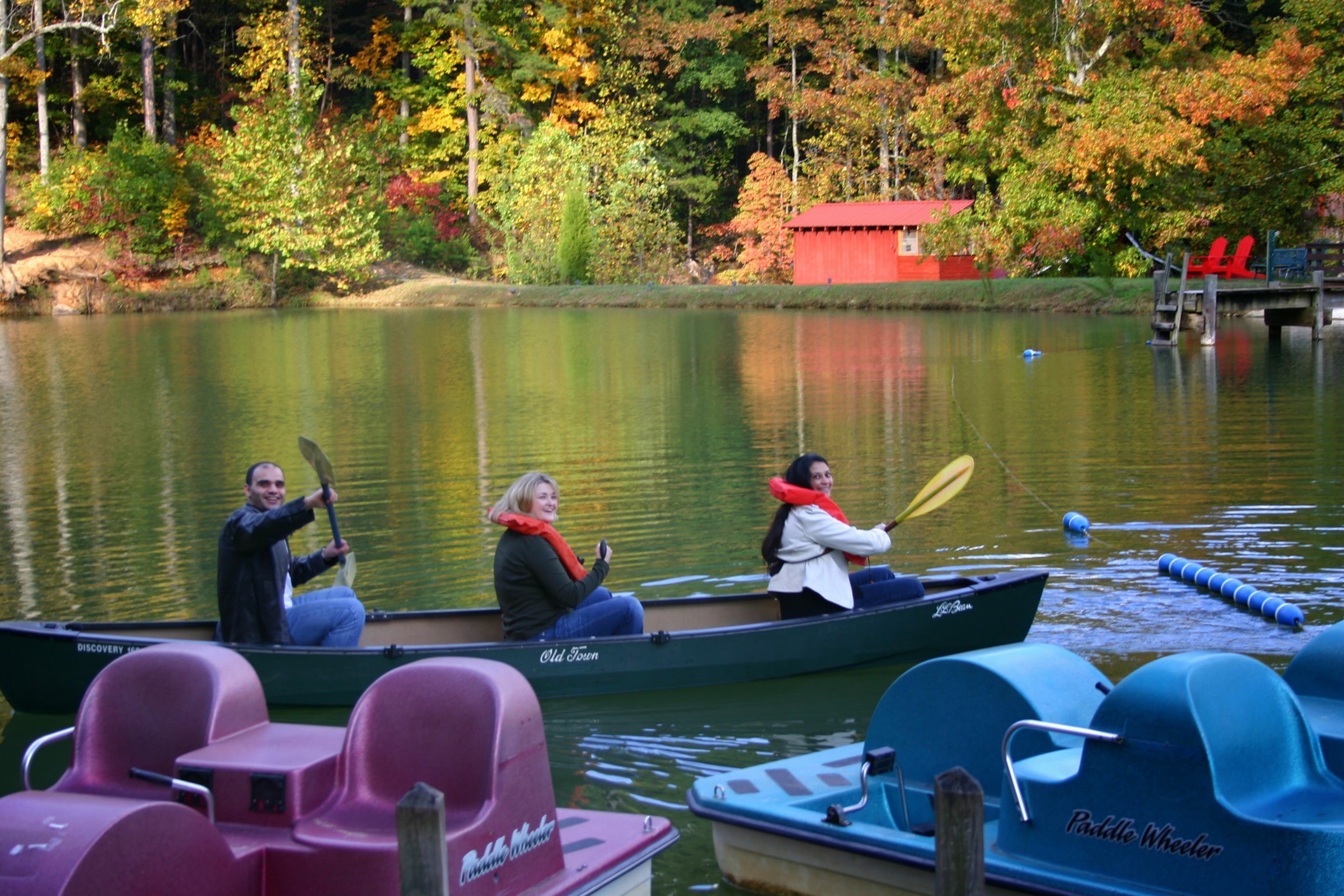 Dr. Panda on canoe on lake