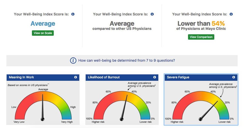 Mayo Clinic Well-Being Index Results