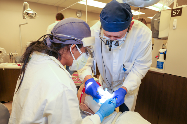 Endodonist faculty teaching on a synthetic patient.