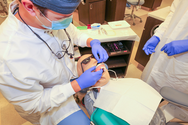Endodonist explaining procedure on synthetic patient.