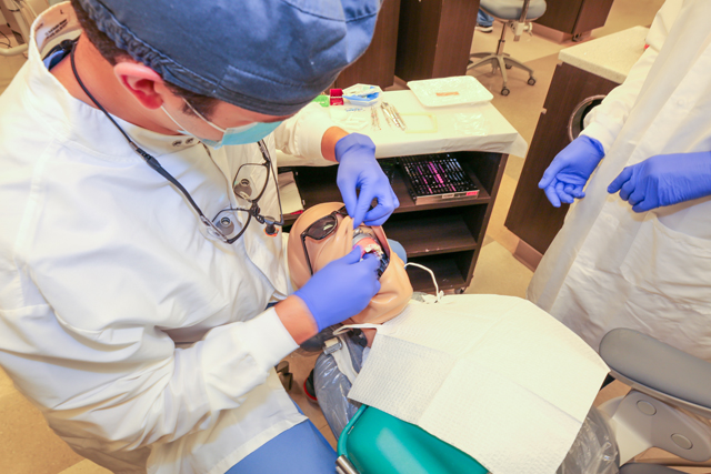 Endodonist leaning in closer to explain the details of procedure on synthetic patient.