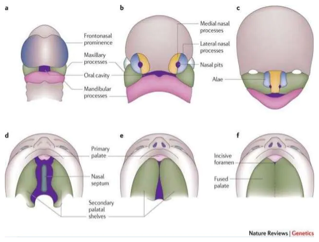 Description of diagrams is below under 'Diagram Description'.