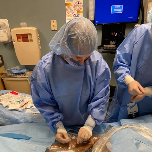 Resident wearing sterile gown, gloves, mask, and hair cover preparing or assisting with a medical procedure over a draped patient in a clinical setting.