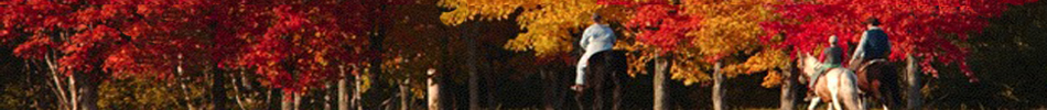 Banner photo