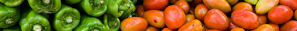 Banner photo