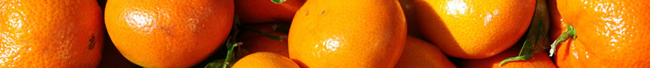 Banner photo