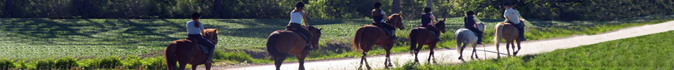 Banner photo
