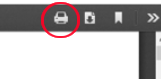 print icon