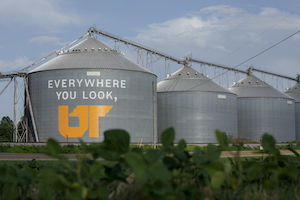 silos with everywhere you look...UT signs