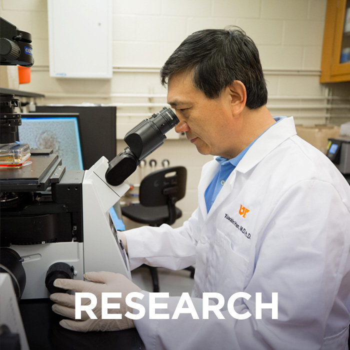 Photo of Physiology researcher looking into a microscope. The word "Research" is imposed on top of the image.