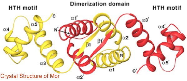 Figure 2 described in previous text.