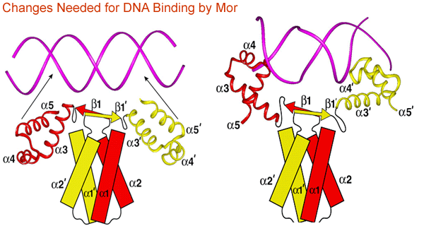 Figure 3 described in previous text