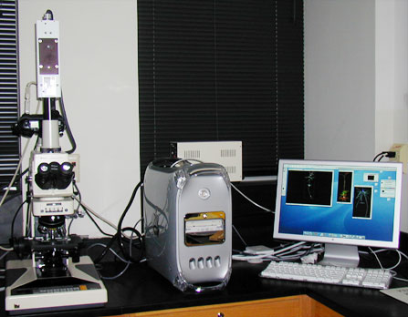 Microscope photo