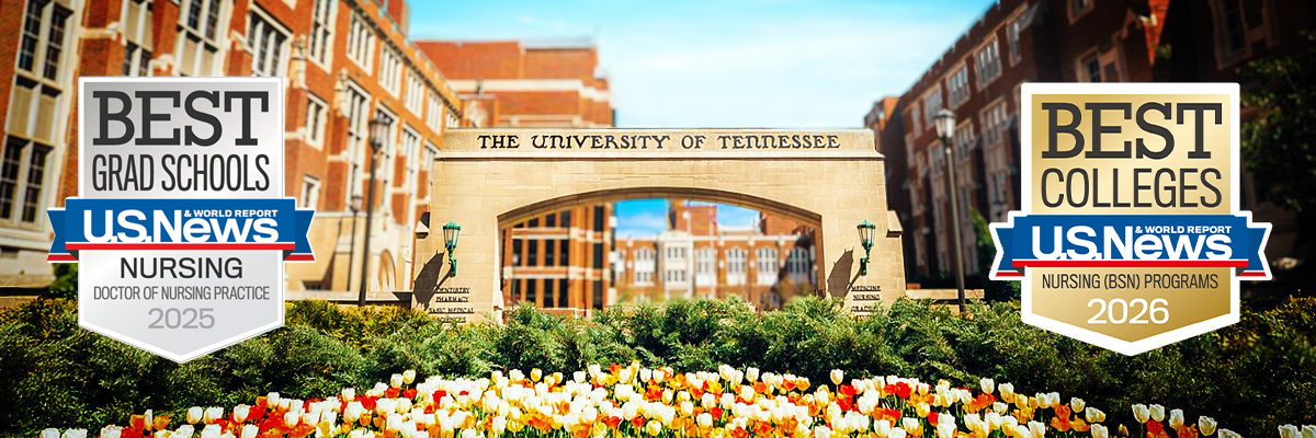 nursingheroupdate badge header