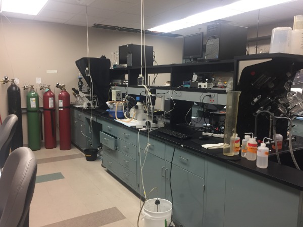 Two computarized systems to measure in vitro myogenic tone.