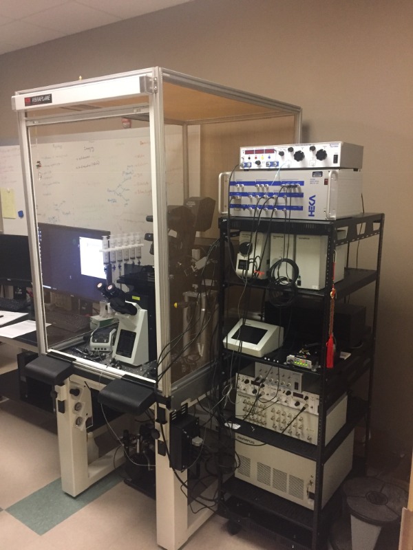 An electrophysiology-calcium domain identification unit including an FV3000 Olympus microsocope for work on zebrafish.