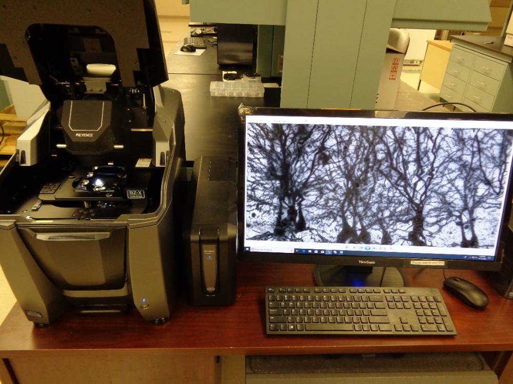 Keyence wide-area scanning high-resolution microscope.