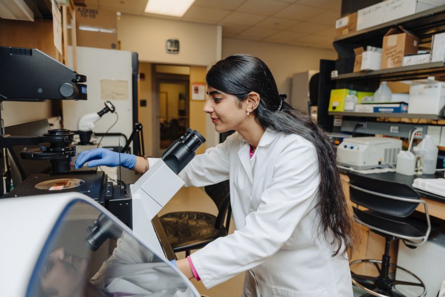 Student works with a microscope.