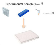 Eppendorf Epmotion 5075 Liquid Handling Robot Diagram