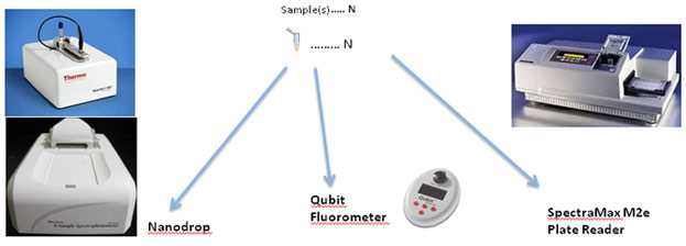 Nanodrop, Qubit, and SpectraMax M2e Plate Reader