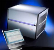 Quantitative Real-time PCR