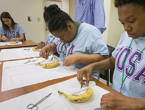 UTHSC Hosts HOSA Students