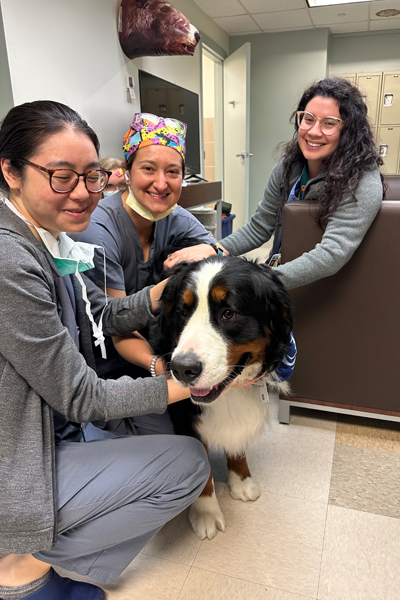 Indoor photo of 3 female residents with a therapy dog