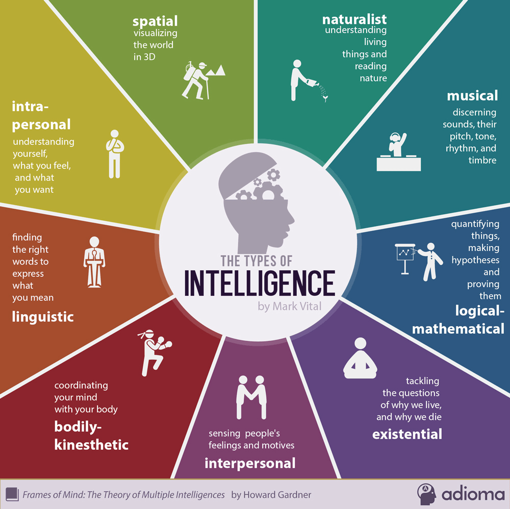 define intelligence in education